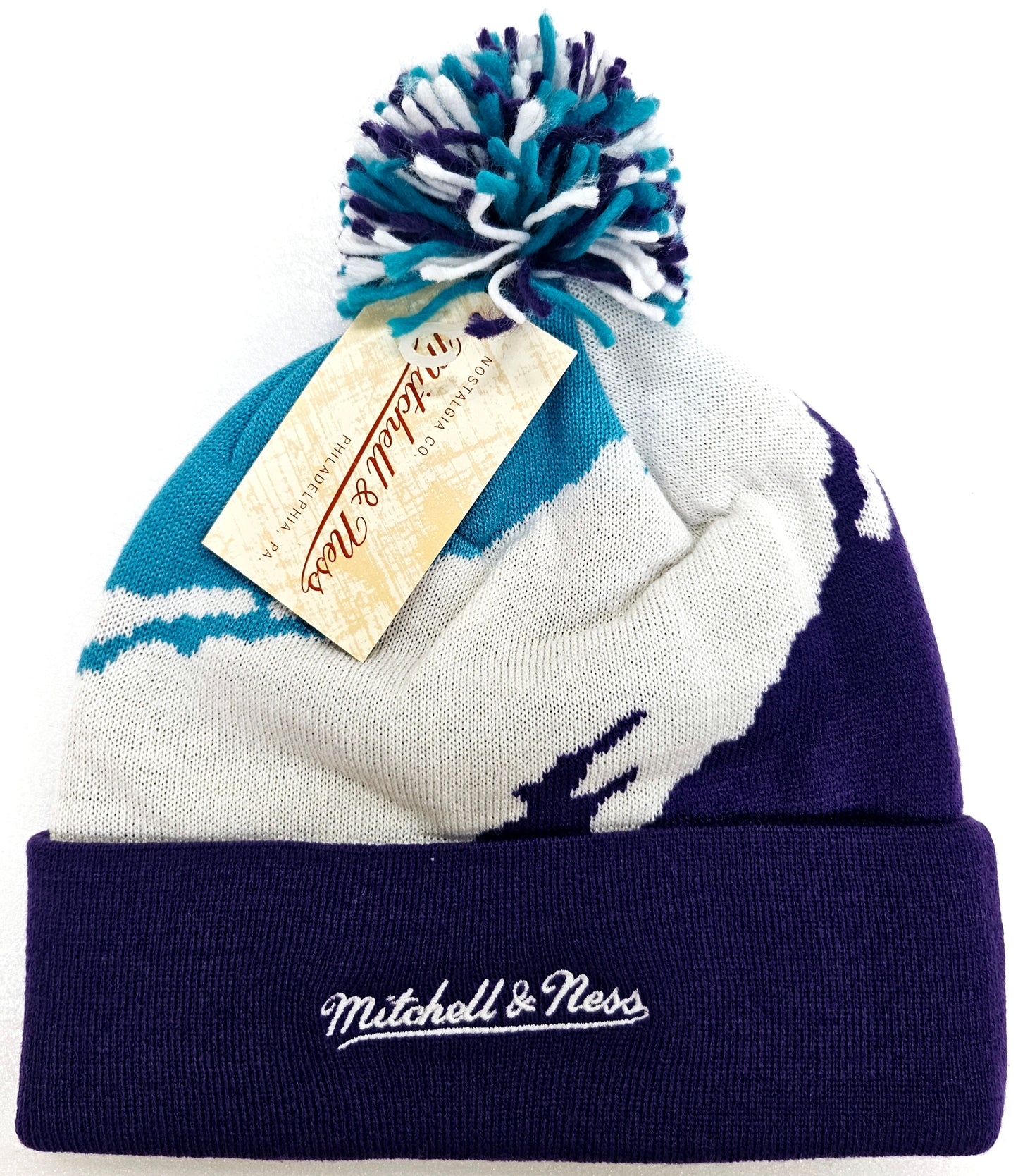 Charlotte Hornets NBA  Premium Pom Knit Hat